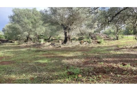 Helårsgrund i Alte, Faro, Alte - € 77.000 | Ref: TR-12 - foto 7