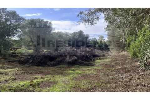 Helårsgrund i Alte, Faro, Alte - € 77.000 | Ref: TR-12 - foto 8