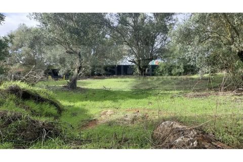 Helårsgrund i Alte, Faro, Alte - € 77.000 | Ref: TR-12 - foto 9