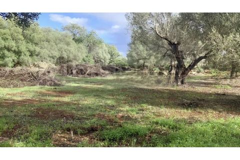Helårsgrund i Alte, Faro, Alte - € 77.000 | Ref: TR-12 - foto 11