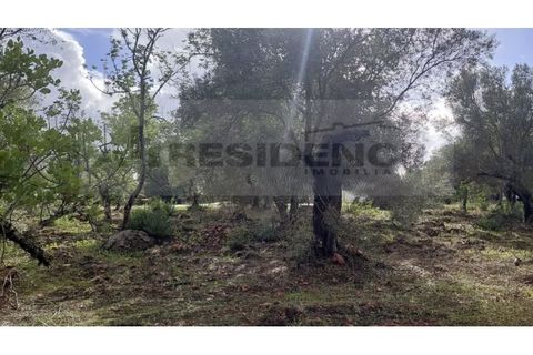 Helårsgrund i Alte, Faro, Alte - € 77.000 | Ref: TR-12 - foto 13
