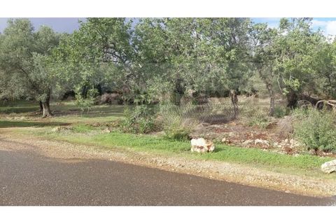 Helårsgrund i Alte, Faro, Alte - € 77.000 | Ref: TR-12 - foto 14