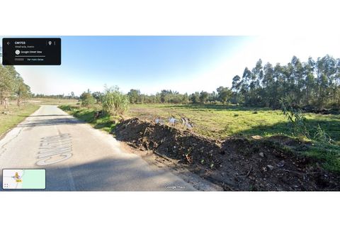 Terra a Mealhada, Aveiro, Mealhada - € 24.000 | Ref: 2025/29 - foto 4