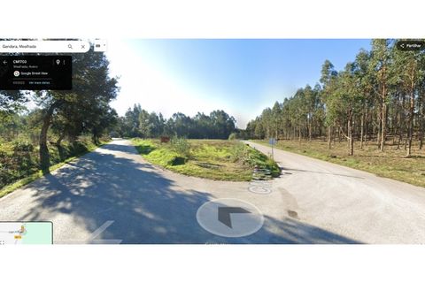 Terra a Mealhada, Aveiro, Mealhada - € 24.000 | Ref: 2025/29 - foto 5