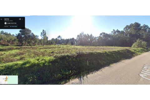 Terra a Mealhada, Aveiro, Mealhada - € 24.000 | Ref: 2025/29 - foto 6