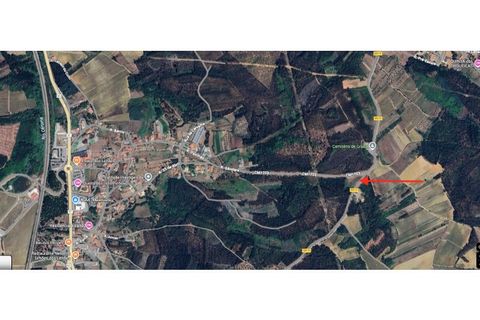 Terra a Mealhada, Aveiro, Mealhada - € 24.000 | Ref: 2025/29 - foto 7