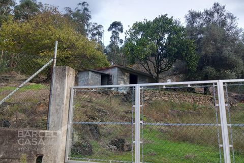 Helårsgrund i Barcelos, Braga, Barcelos - € 87.000 | Ref: 185/24 - foto 3