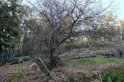 Terreno en Barcelos, Braga, Barcelos - € 70.000 | Ref: 155/26 - photo 4