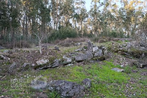 Terreno en Barcelos, Braga, Barcelos - € 70.000 | Ref: 155/26 - photo 5