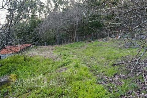 Terreno en Barcelos, Braga, Barcelos - € 70.000 | Ref: 155/26 - photo 6