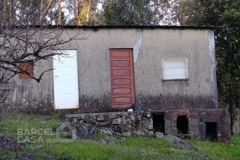 Terreno en Barcelos, Braga, Barcelos - € 70.000 | Ref: 155/26 - photo 8