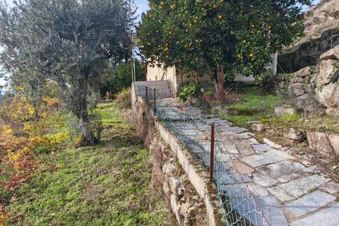 Landejendom i Mangualde, Viseu, Mangualde - € 67.000 | Ref: 389250241 - foto 15