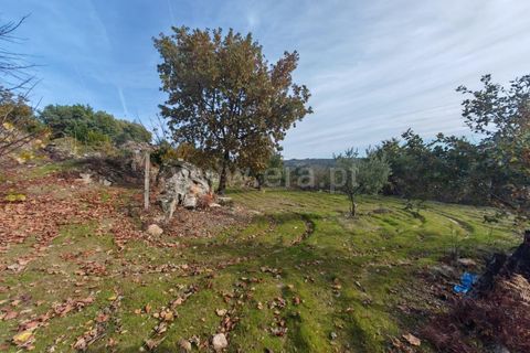 Landejendom i Mangualde, Viseu, Mangualde - € 67.000 | Ref: 389250241 - foto 16