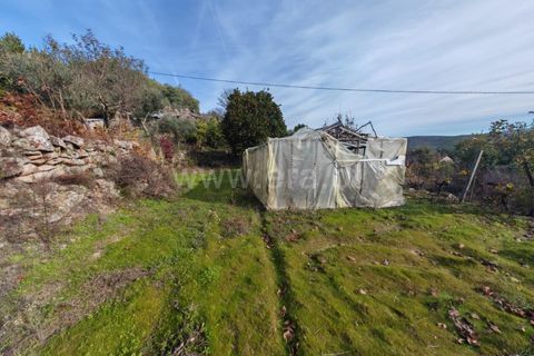 Landejendom i Mangualde, Viseu, Mangualde - € 67.000 | Ref: 389250241 - foto 17