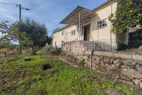 Landejendom i Mangualde, Viseu, Mangualde - € 67.000 | Ref: 389250241 - foto 18
