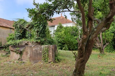 Helårsgrund i Obidos, Leiria, Obidos - € 398.500 | Ref: BL1309 - foto 4