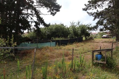 Helårsgrund i Obidos, Leiria, Obidos - € 398.500 | Ref: BL1309 - foto 7