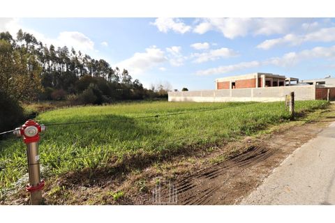 Helårsgrund i Ovar, Aveiro, Ovar - € 32.000 | Ref: 343-OVR - foto 2