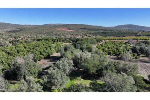Helårsgrund i Alte, Faro, Alte - € 77.000 | Ref: UNU.I.1748.20554 - foto 2