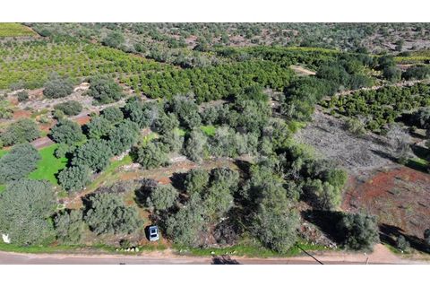 Helårsgrund i Alte, Faro, Alte - € 77.000 | Ref: UNU.I.1748.20554 - foto 7