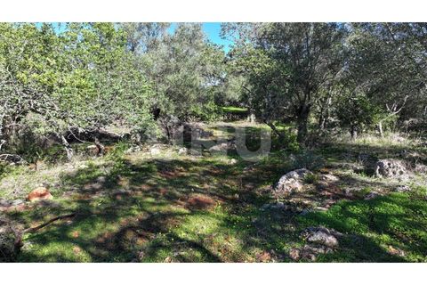 Helårsgrund i Alte, Faro, Alte - € 77.000 | Ref: UNU.I.1748.20554 - foto 8