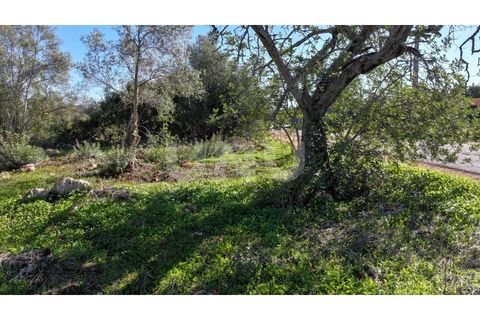 Helårsgrund i Alte, Faro, Alte - € 77.000 | Ref: UNU.I.1748.20554 - foto 9