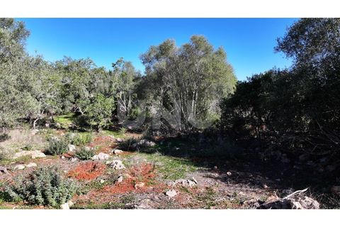 Helårsgrund i Alte, Faro, Alte - € 77.000 | Ref: UNU.I.1748.20554 - foto 10