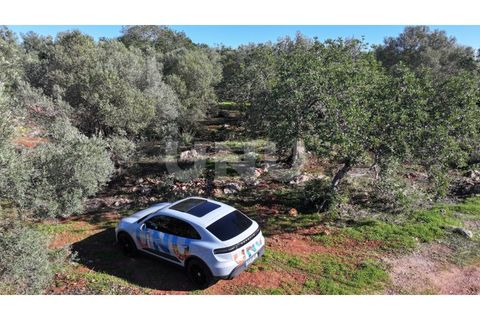 Helårsgrund i Alte, Faro, Alte - € 77.000 | Ref: UNU.I.1748.20554 - foto 12