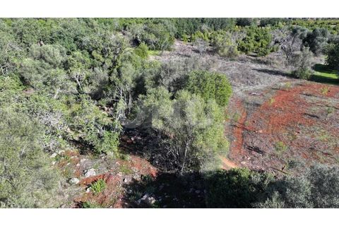 Helårsgrund i Alte, Faro, Alte - € 77.000 | Ref: UNU.I.1748.20554 - foto 13