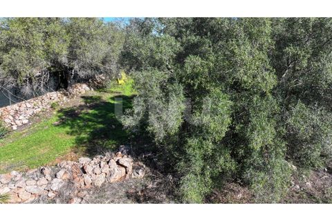 Helårsgrund i Alte, Faro, Alte - € 77.000 | Ref: UNU.I.1748.20554 - foto 14