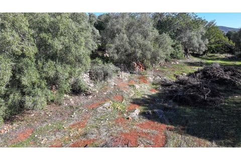 Helårsgrund i Alte, Faro, Alte - € 77.000 | Ref: UNU.I.1748.20554 - foto 15