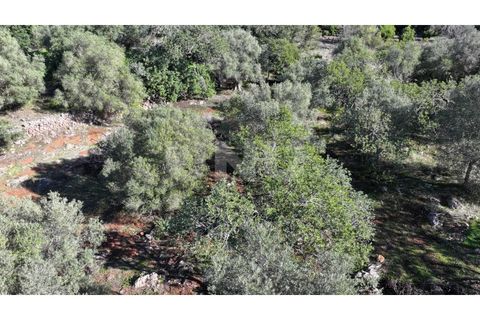 Helårsgrund i Alte, Faro, Alte - € 77.000 | Ref: UNU.I.1748.20554 - foto 16