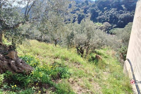 Helårsgrund i Messina, Messina, Messina - € 8.300 | Ref: Vsp337 - foto 2