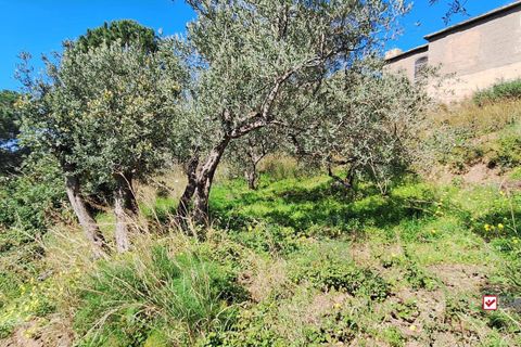 Helårsgrund i Messina, Messina, Messina - € 8.300 | Ref: Vsp337 - foto 3