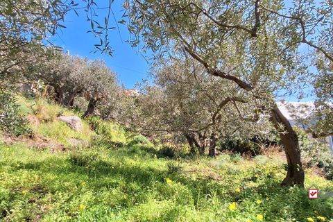 Helårsgrund i Messina, Messina, Messina - € 8.300 | Ref: Vsp337 - foto 4