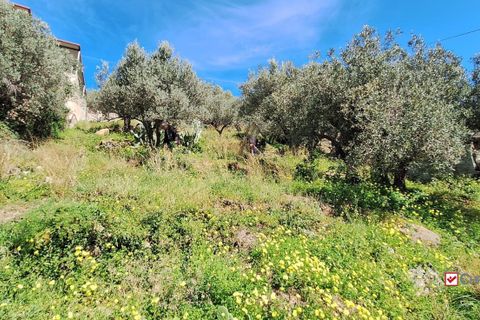 Helårsgrund i Messina, Messina, Messina - € 8.300 | Ref: Vsp337 - foto 5