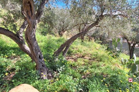Helårsgrund i Messina, Messina, Messina - € 8.300 | Ref: Vsp337 - foto 6