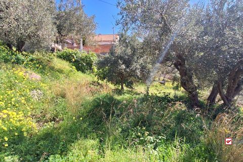 Helårsgrund i Messina, Messina, Messina - € 8.300 | Ref: Vsp337 - foto 7