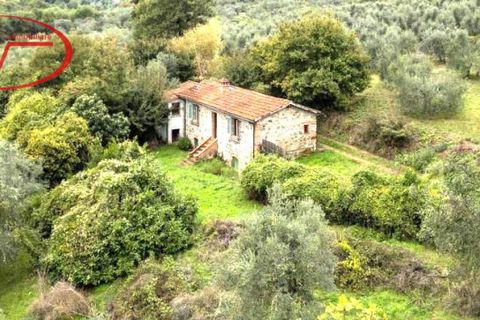 Villa a Cavriglia, Arezzo, Cavriglia - € 135.000 | Ref: 8169 - foto 3