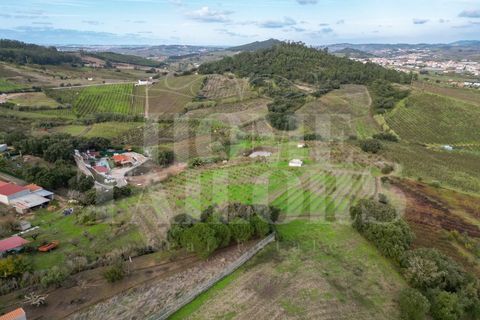 Helårsgrund i Mafra, Lisbon, Mafra - € 140.000 | Ref: HT_50209 - foto 5