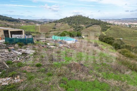Helårsgrund i Mafra, Lisbon, Mafra - € 140.000 | Ref: HT_50209 - foto 10