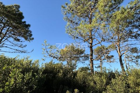 Helårsgrund i Belinho, Braga, Belinho - € 30.000 | Ref: ZMPT583420 - foto 5