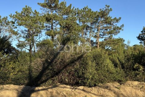 Helårsgrund i Belinho, Braga, Belinho - € 30.000 | Ref: ZMPT583420 - foto 8