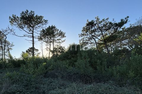 Helårsgrund i Belinho, Braga, Belinho - € 30.000 | Ref: ZMPT583420 - foto 9