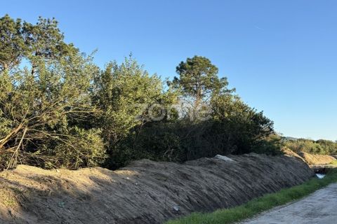 Helårsgrund i Belinho, Braga, Belinho - € 30.000 | Ref: ZMPT583420 - foto 11