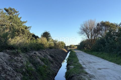 Helårsgrund i Belinho, Braga, Belinho - € 30.000 | Ref: ZMPT583420 - foto 12