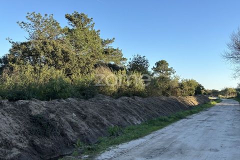 Helårsgrund i Belinho, Braga, Belinho - € 30.000 | Ref: ZMPT583420 - foto 13