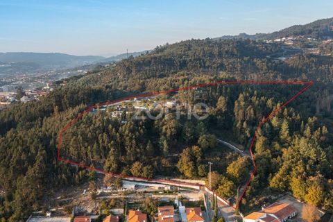 Farm i Braga, Braga, Braga - € 1.150.000 | Ref: ZMPT578832 - foto 10