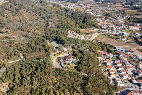 Farm i Braga, Braga, Braga - € 1.150.000 | Ref: ZMPT578832 - foto 12