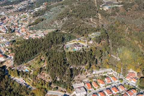 Farm i Braga, Braga, Braga - € 1.150.000 | Ref: ZMPT578832 - foto 13